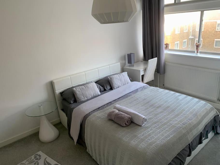 Lovely Spacious Next Hyde Park