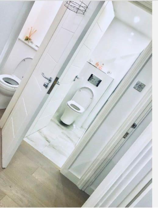 Lovely Spacious Next Hyde Park *